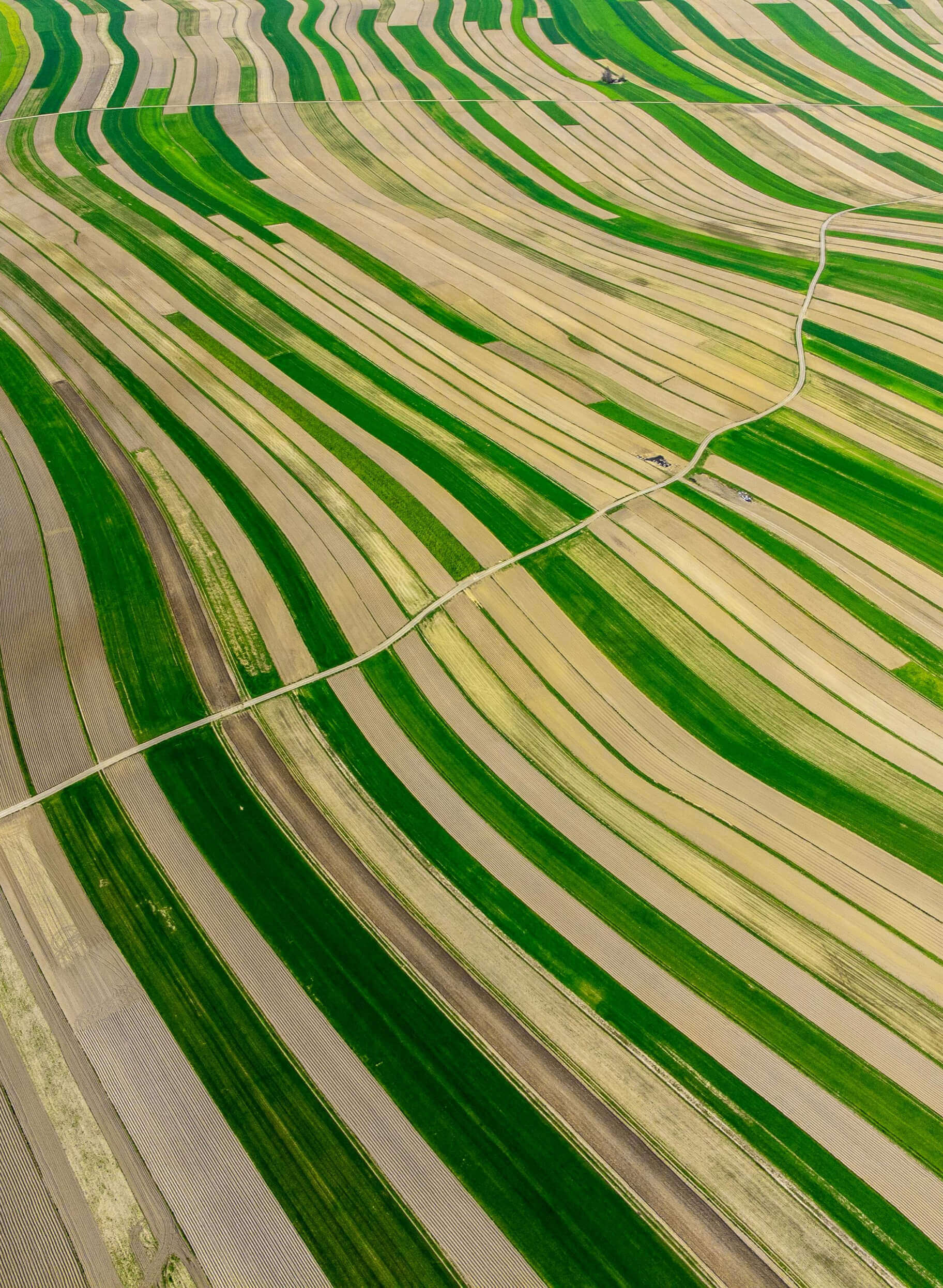 Transforming Customer Experience: How ING Leverages Generative AI for Human-Centric Banking